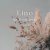 Lino eyelash chiho