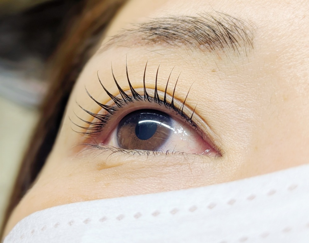 Eyelashsalon too Mii